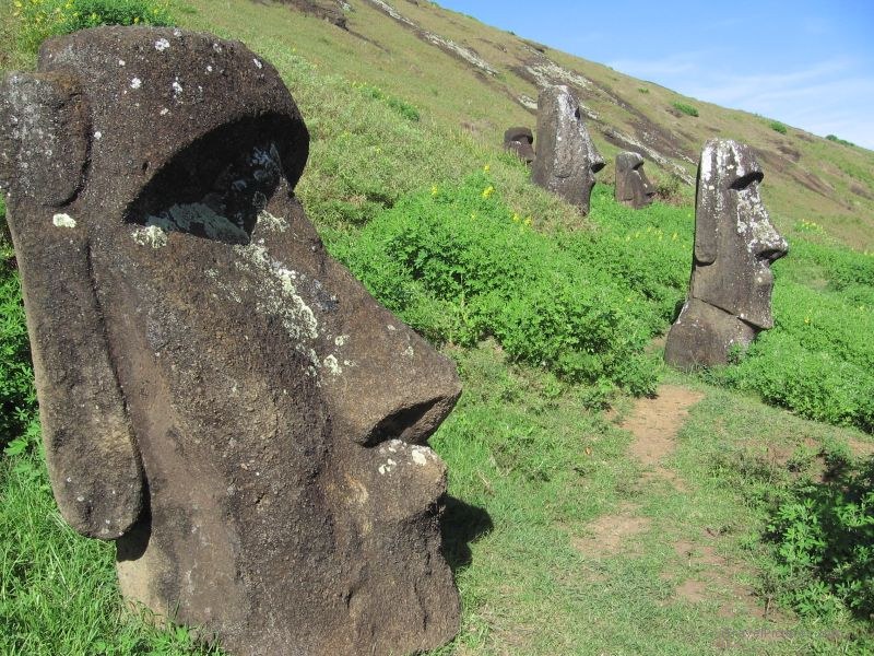 maoi Rano Raraku standing